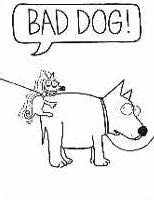 baddog (2).jpg 6.6K