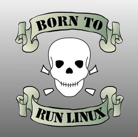 borntorunlinux.jpg 33.7K